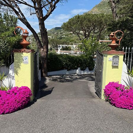 Hotel Park Calitto Forio di Ischia Dış mekan fotoğraf