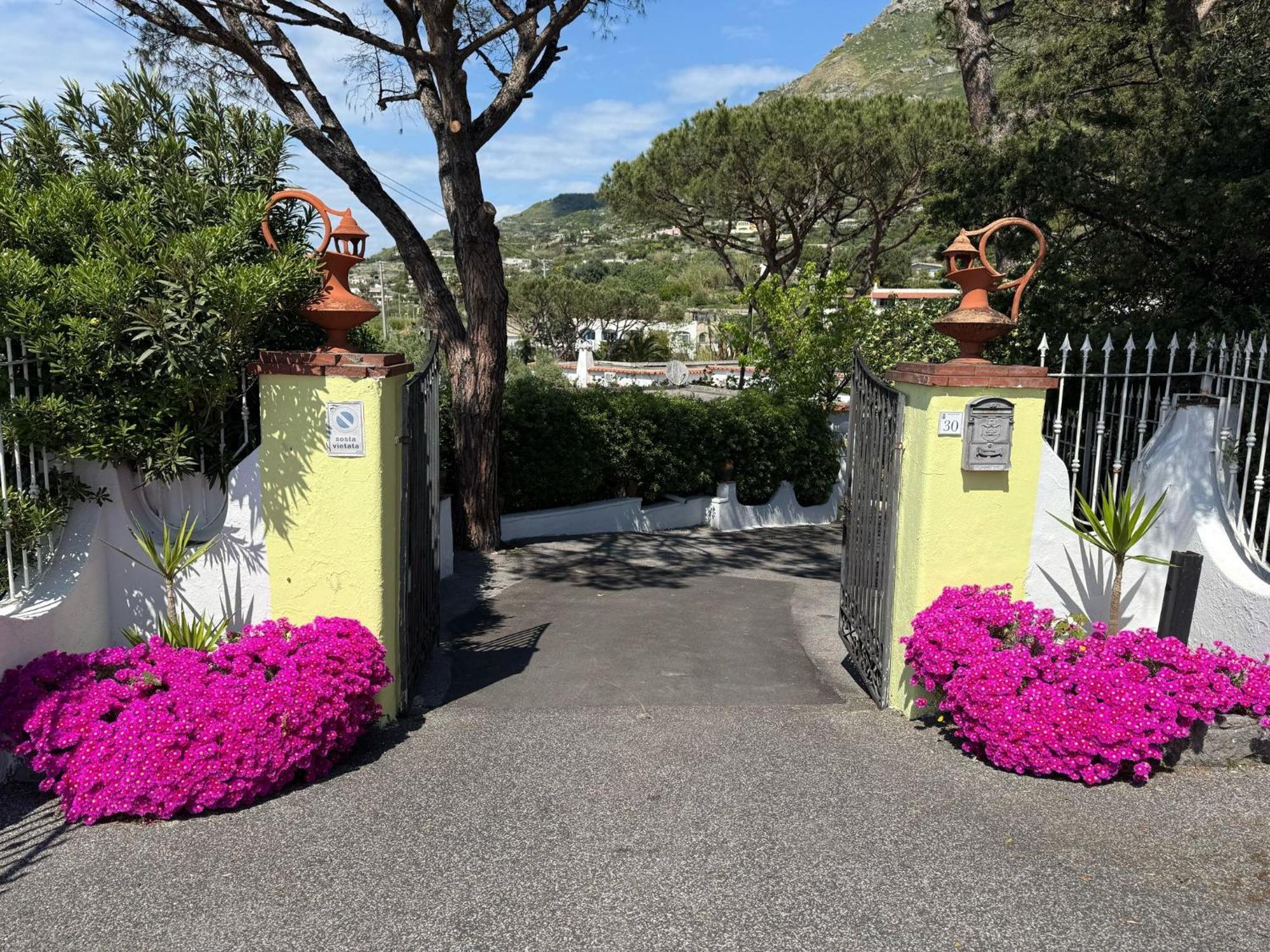 Hotel Park Calitto Forio di Ischia Dış mekan fotoğraf